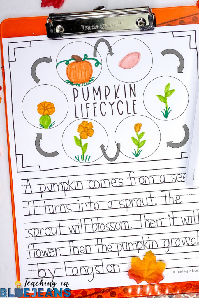 pumpkin life cycle writing activity